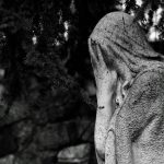 gray concrete statue near green trees during daytime